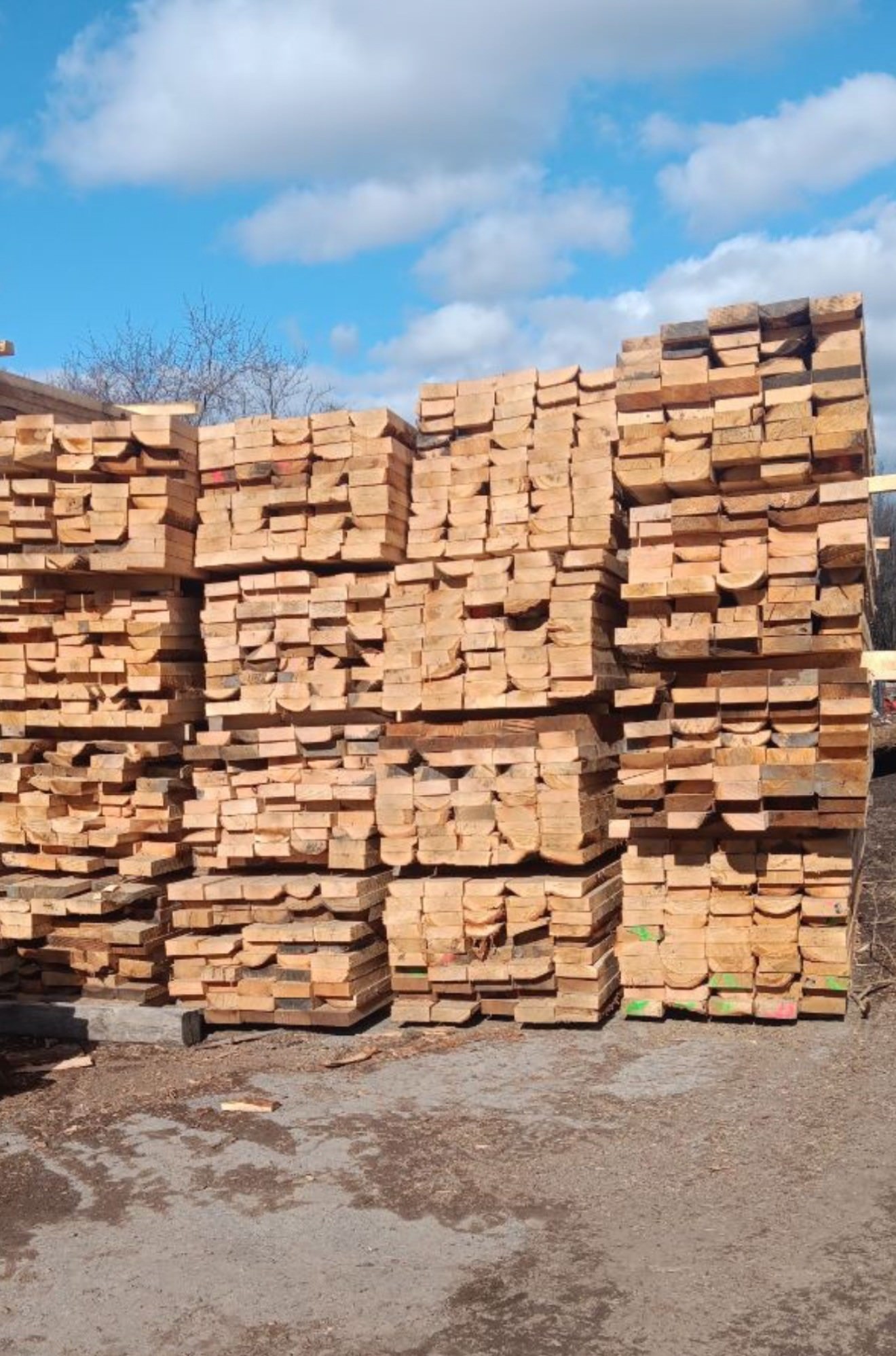 Mixed Hardwood & Pine Products